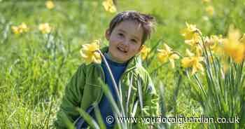Kew Gardens to host spud-tastic adventure this Easter