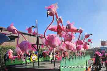 Die jecken Flamingos tanzen noch einmal famos