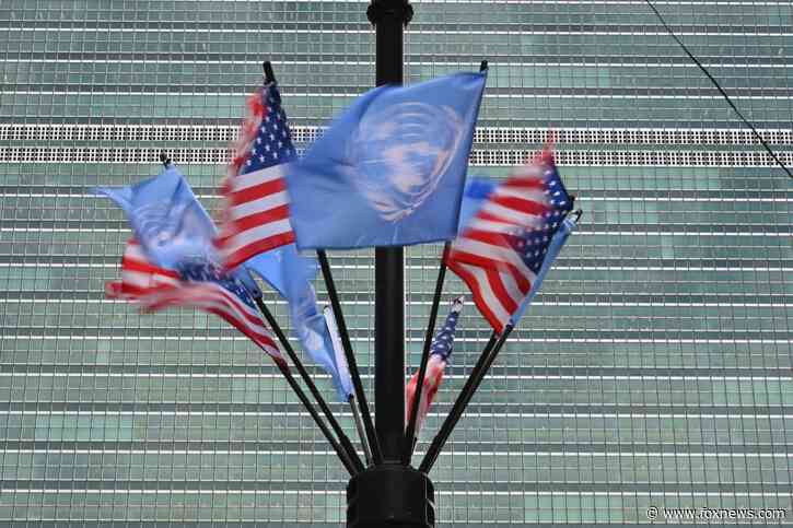 Pause in US foreign aid has UN in panic over funding cuts, Trump says world body 'not being well run'