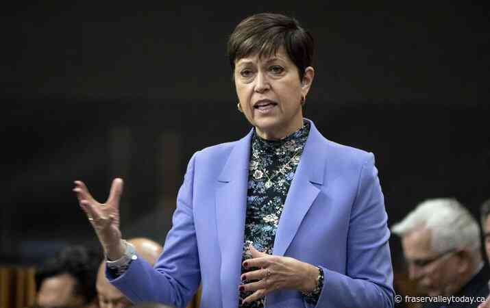 Threats, harassment driving women out of politics, MPs warn