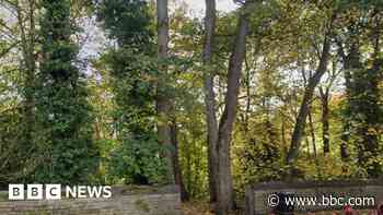 Man wanted over indecent exposure incident in park