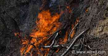 The Extreme Weather Conditions That Drove the Carolina Wildfires