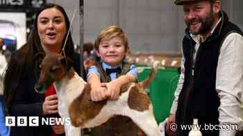 Boy, 6, thought to be Crufts' youngest winner