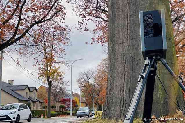 Politie betrapt 110 hardrijders in Alveringem en Lo-Reninge, twee naar politierechter