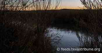 Venezuelan parents watch from home as their son is buried in Texas after drowning