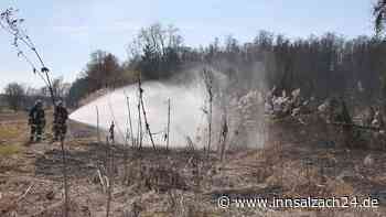 Kleiner Waldbrand bei Buchbach – Feuerwehr verhindert Schlimmeres