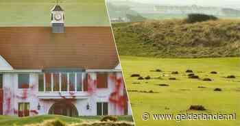 Activisten bekladden Schots resort van Trump met rode verf en spitten golfbaan om: ‘Gaza is niet te koop’