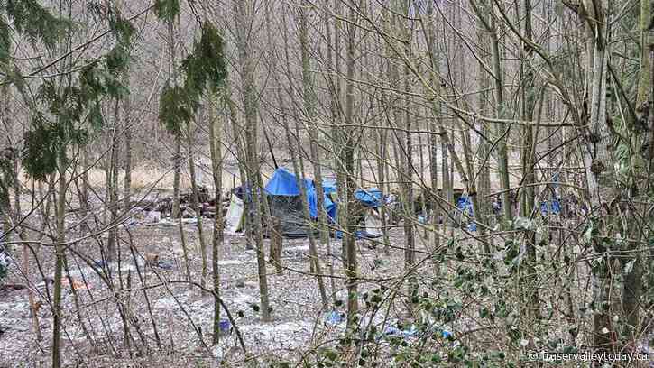 Fraser Valley had most homeless deaths in B.C. 2023: Coroner’s Service