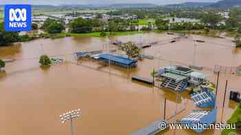 Brisbane residents 'caught by surprise' by gale-force winds overnight