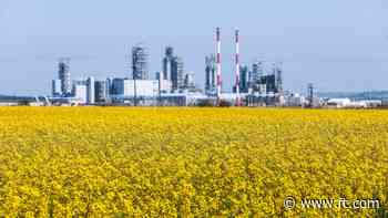 China hits Canada with retaliatory tariffs on agricultural goods
