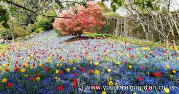 Discover the National Trust gem an hour from London for a great day out