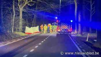 Bestuurder overleeft zware klap tegen boom niet