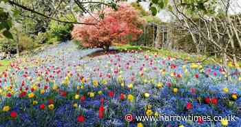 Discover the National Trust gem an hour from London for a great day out