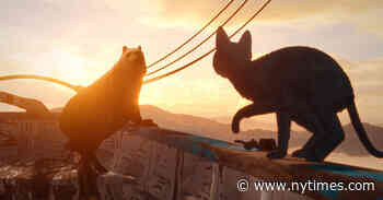 Pets Can’t Stop Watching ‘Flow,’ the Oscar-Winning Cat Movie