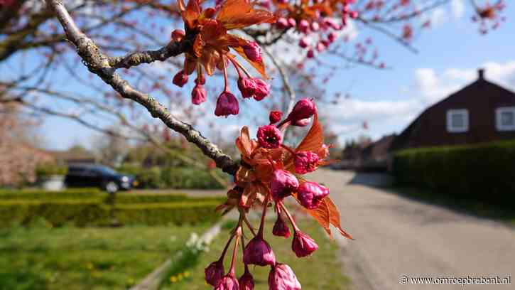 Geniet met volle teugen van deze dag, de temperatuur neemt hierna een duik