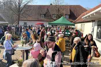 Schneeglöckchenfest in Bustedt: ein ganz besonderer Ort für Gartenfans