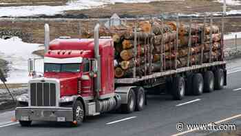 US lumber prices slide on Trump’s Canadian tariffs delay