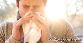 Hooikoortskalender loopt langer door dan ooit: in welke maand heb je last van welke plant(en)?