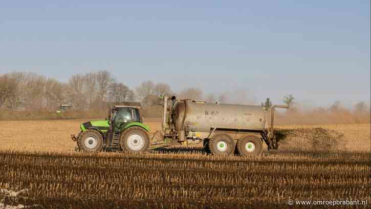 Na 16 jaar komt groot mestfraudedossier tot een einde: handelaar cel in