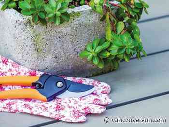 The Bookless Club: What is your horticultural specialty?