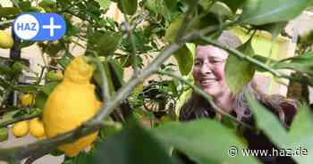 Veranstaltungen in Hannover: Das ist in der Woche vom 10. bis 16. März los