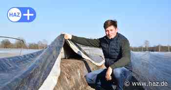 Frischer Spargel aus der Region Hannover für ganz Niedersachsen: Ernte für den Hof Heuer beginnt bald