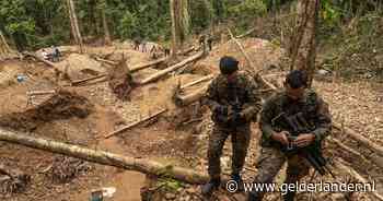 Criminele bendes storten zich met veel geweld op goudwinning