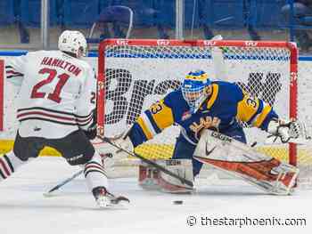 Saskatoon Blades clinch WHL playoff spot with weekend sweep over rival Raiders