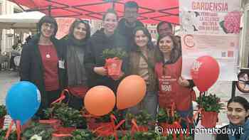 Sclerosi multipla, con “Gardensia” in 100 piazze a Roma per sostenere la ricerca