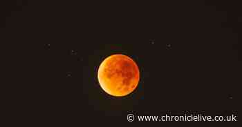 Best dates to see rare 'blood-red' lunar eclipse as it light up skies this March