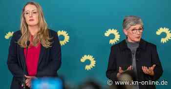 Friedrich Merz kommt Grünen entgegen: Ja zu Klimaschutz und Ukraine-Hilfe