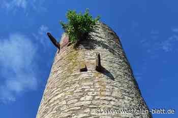 Der Heinturm bei Warburg bröckelt