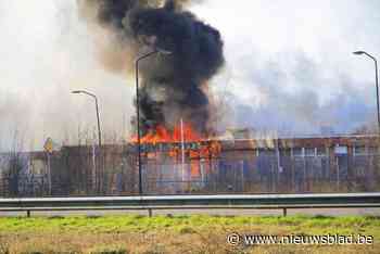 Uitslaande brand in loods net over Belgische grens: hulpdiensten massaal aanwezig