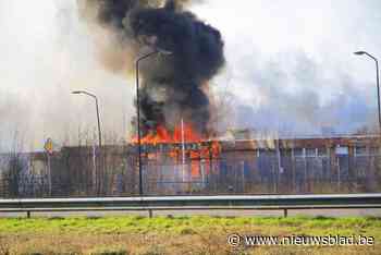 Uitslaande brand in loods net over Belgische grens: hulpdiensten massaal aanwezig