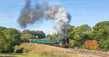 The ‘beautiful’ almost forgotten railway line from Kent to Sussex