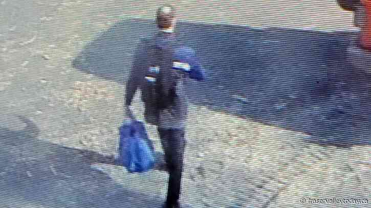 Missing Abbotsford man last seen entering Vedder Mountain