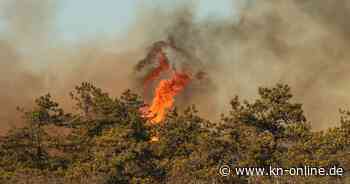 Buschfeuer in New York: Feuerwehr kämpft Brände nieder