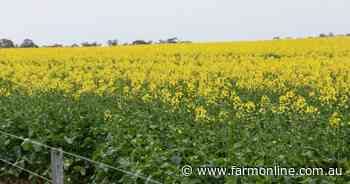 Cash for trash: low-carbon fuel push to convert farm waste into income stream