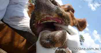 Australia bans imports from two EU nations after foot-and-mouth detected