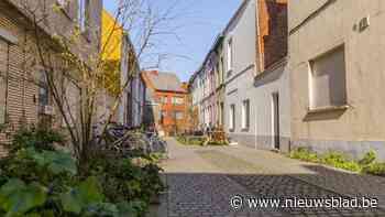 Groenslingers en tegeltuinen helpen in strijd tegen klimaatverandering: “Ze hebben echt een impact”