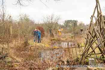 Naturserie: Naturschutz kann im Garten beginnen