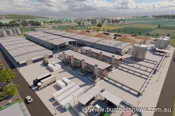 Govt-backed Narrogin biorefinery shelved