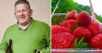 Meet the New Forest farmer cutting down 'wonky' waste with new snack