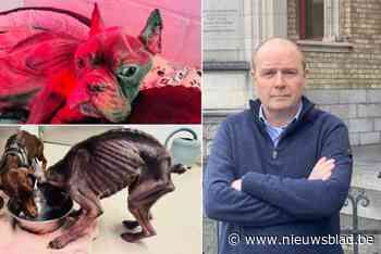 Baasjes van uitgemergelde Bailey en Marley veroordeeld: “Hopelijk moeten ze hun werkstraf in een asiel doen”