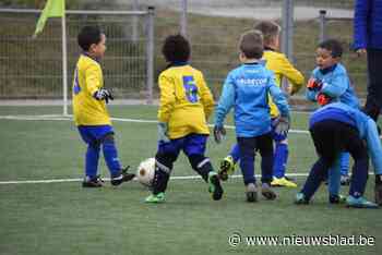 Van fusie is (nog) geen sprake, maar Kampenhout en Berg-Op gaan wel kunstgrasveld delen: “Het alternatief was gaan voetballen op de maan”