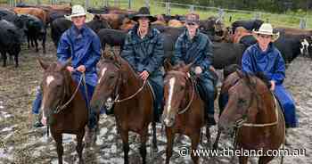 Team of teens hold the fort to shift flood-affected cattle at Kempsey