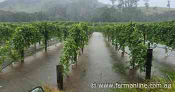 Alfred's ag wash-up cost unclear; local grocers win as chain stores run dry