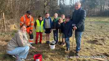 Kinderen planten bomen en mogen ook thuis aan de slag: "Nergens plaats is geen optie"