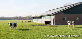 Eko-Holland handhaaft prijs bij hogere aanvoer