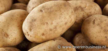 Nederland wijkt wel heel erg af in Potato Index